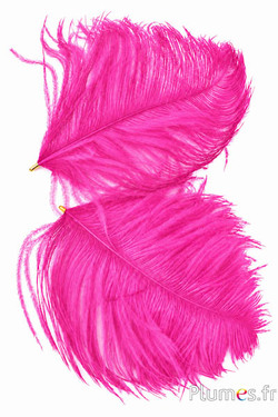 Anhänger Straußenkopf - 17-20 cm - fuchsia